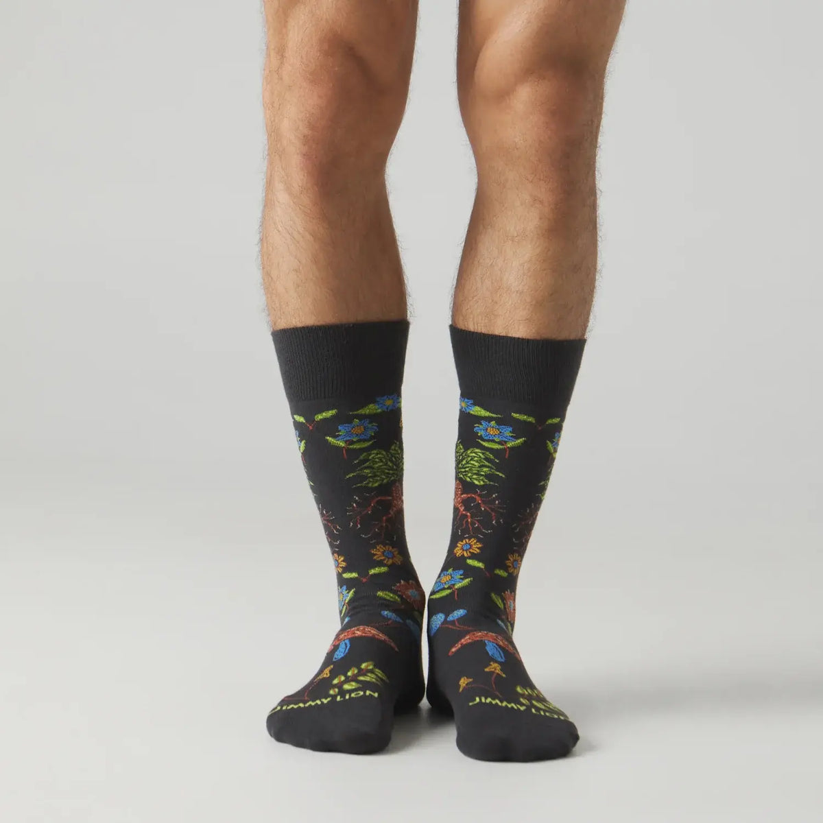 Calcetines Harry Potter Herbology Socks JIMMY LION