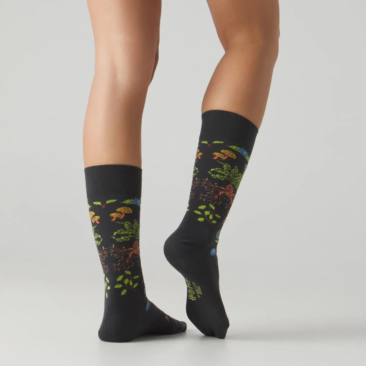 Calcetines Harry Potter Herbology Socks JIMMY LION