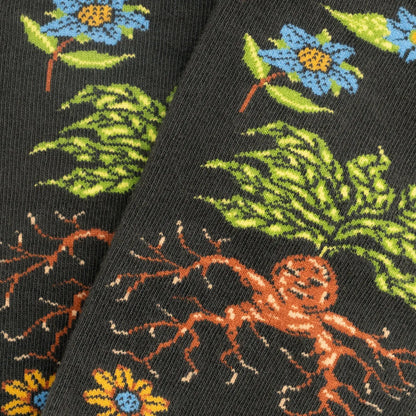Calcetines Harry Potter Herbology Socks JIMMY LION
