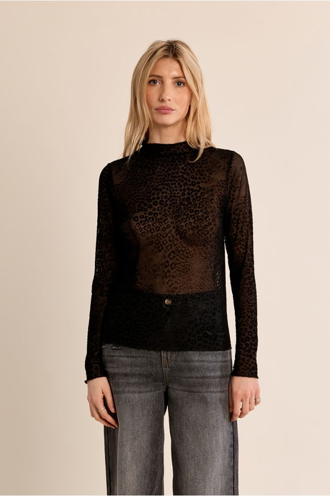 Jersey animal transparencias MOLLY BRACKEN