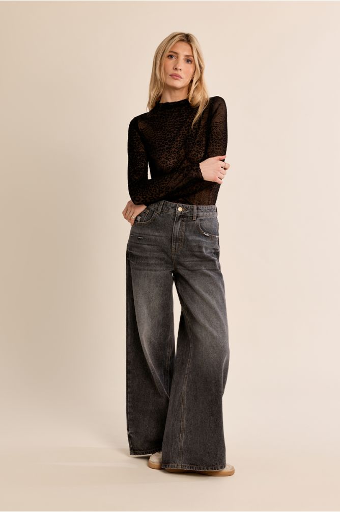 Jersey animal transparencias MOLLY BRACKEN