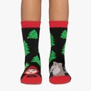 Calcetines antideslizantes KIDS LITTLE RED  color negro  JIMMY LION