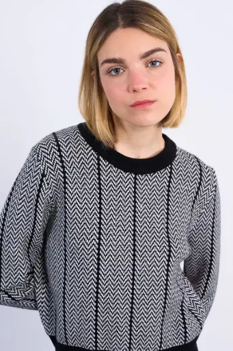 Sudadera punto tejido jacquard 
